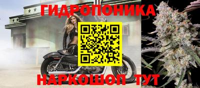 МДПВ Тверь