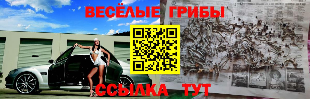Галлюциногенные грибы MAGIC MUSHROOMS  Вход с VPN  Петрозаводск 