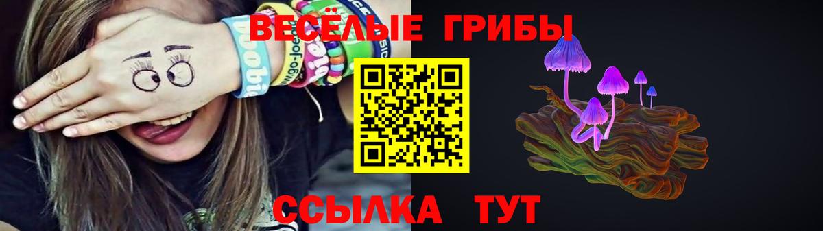 Псилоцибиновые грибы мухоморы Петрозаводск